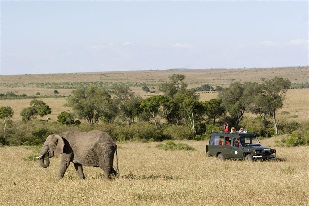 Hotel Rekero Camp Mara Simba Esterno foto