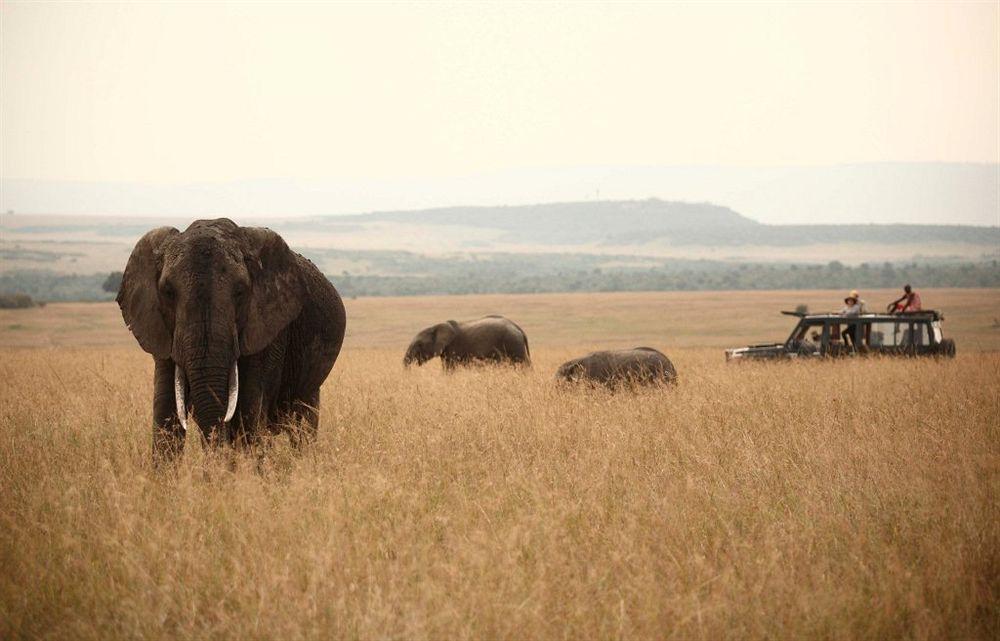 Hotel Rekero Camp Mara Simba Esterno foto