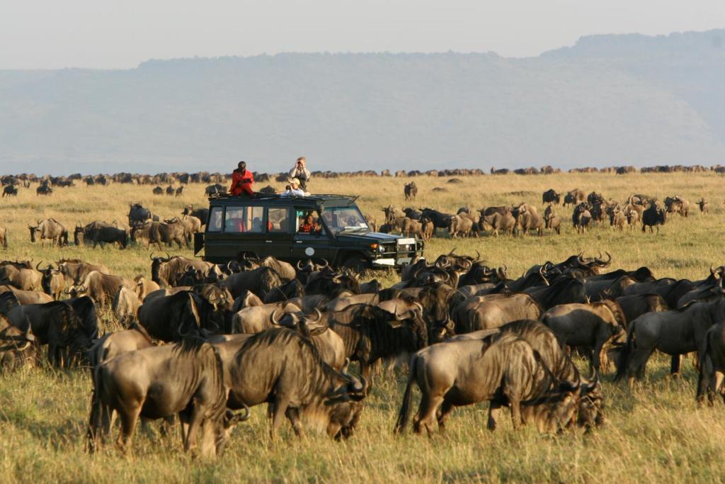 Hotel Rekero Camp Mara Simba Esterno foto