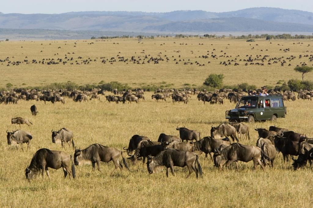 Hotel Rekero Camp Mara Simba Esterno foto