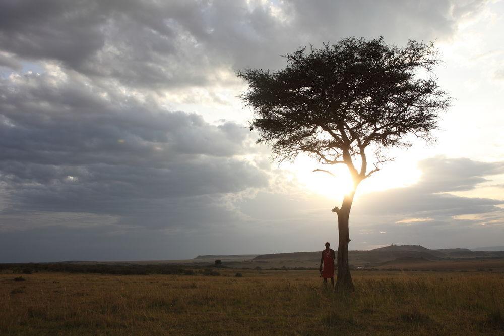 Hotel Rekero Camp Mara Simba Esterno foto